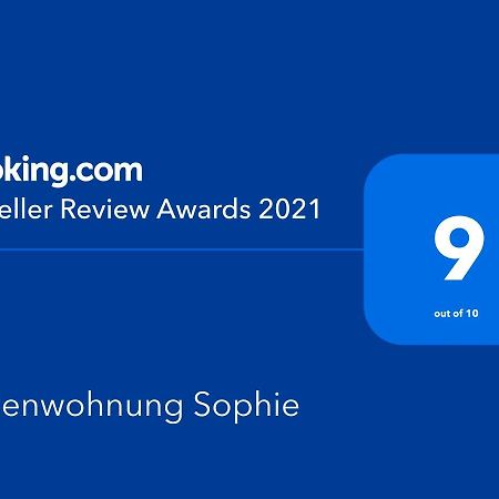 Ferienwohnungen Sophie ザールブリュッケン エクステリア 写真