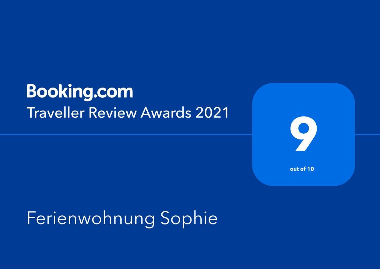 Ferienwohnungen Sophie ザールブリュッケン エクステリア 写真